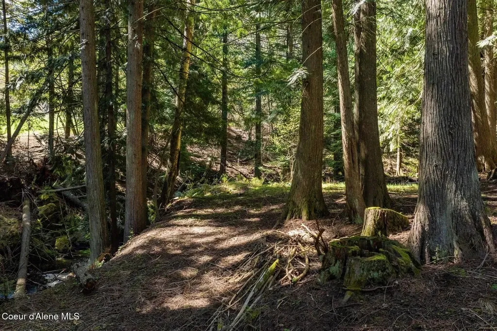 Nna Garfield Bay Road Sagle ID 83860