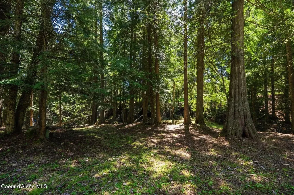 Nna Garfield Bay Road Sagle ID 83860