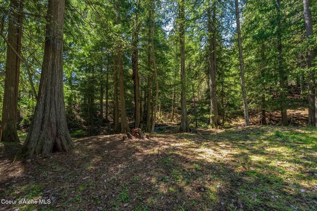 Nna Garfield Bay Road Sagle ID 83860