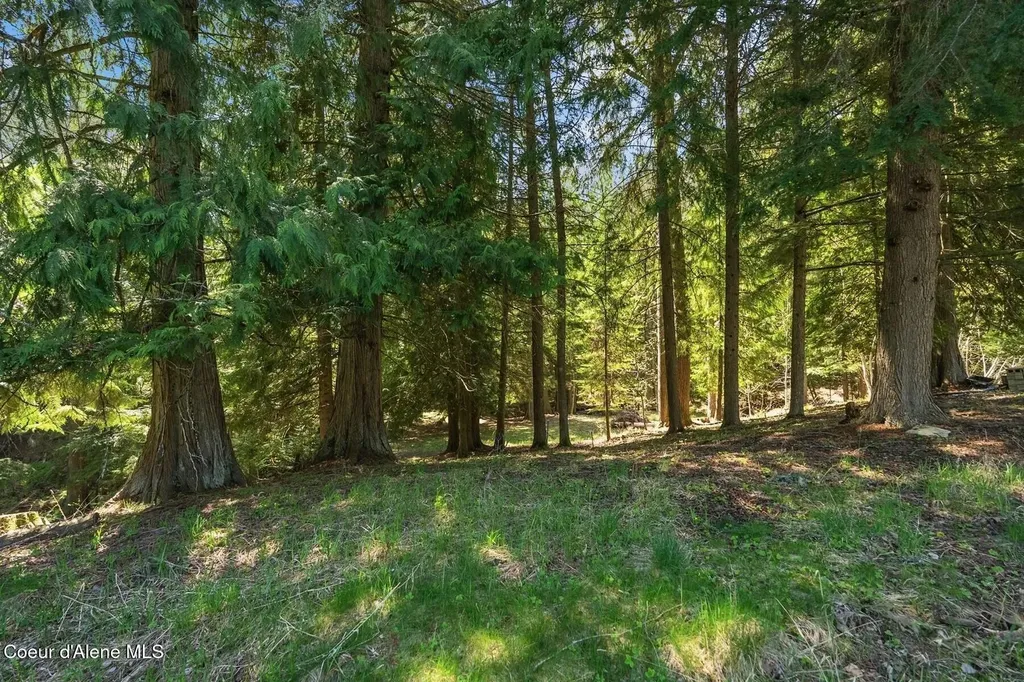 Nna Garfield Bay Road Sagle ID 83860