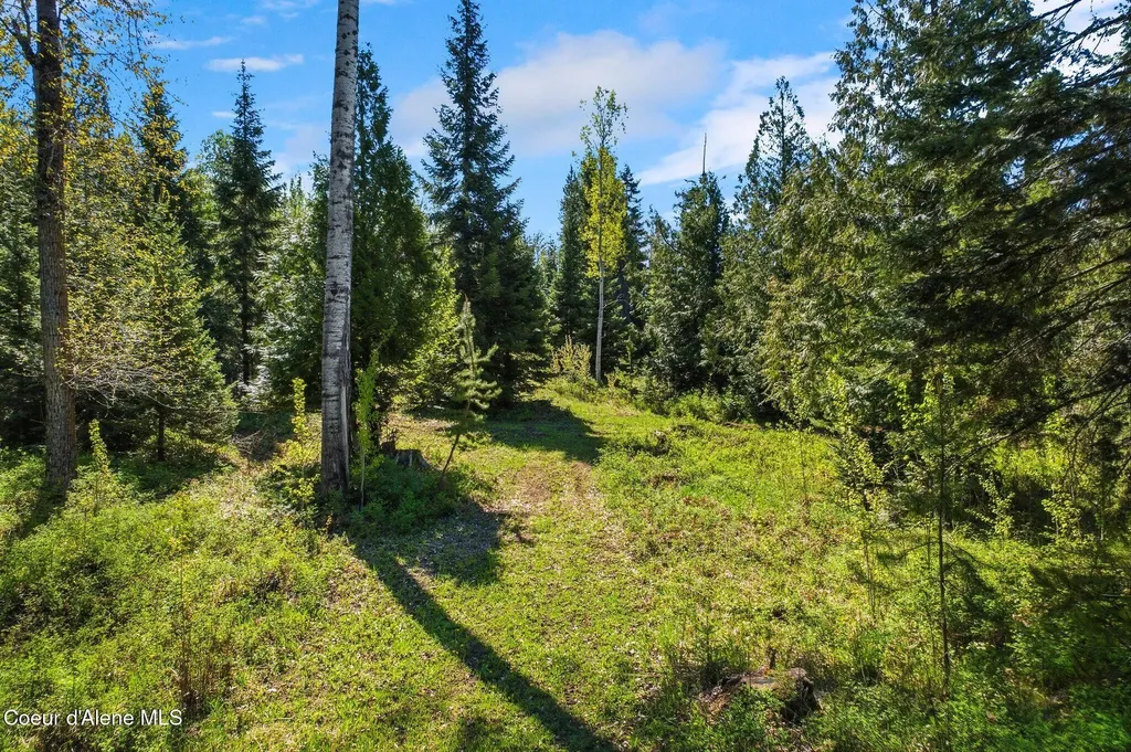 White Tail Farm Lane Lot 2 Sandpoint ID 83864