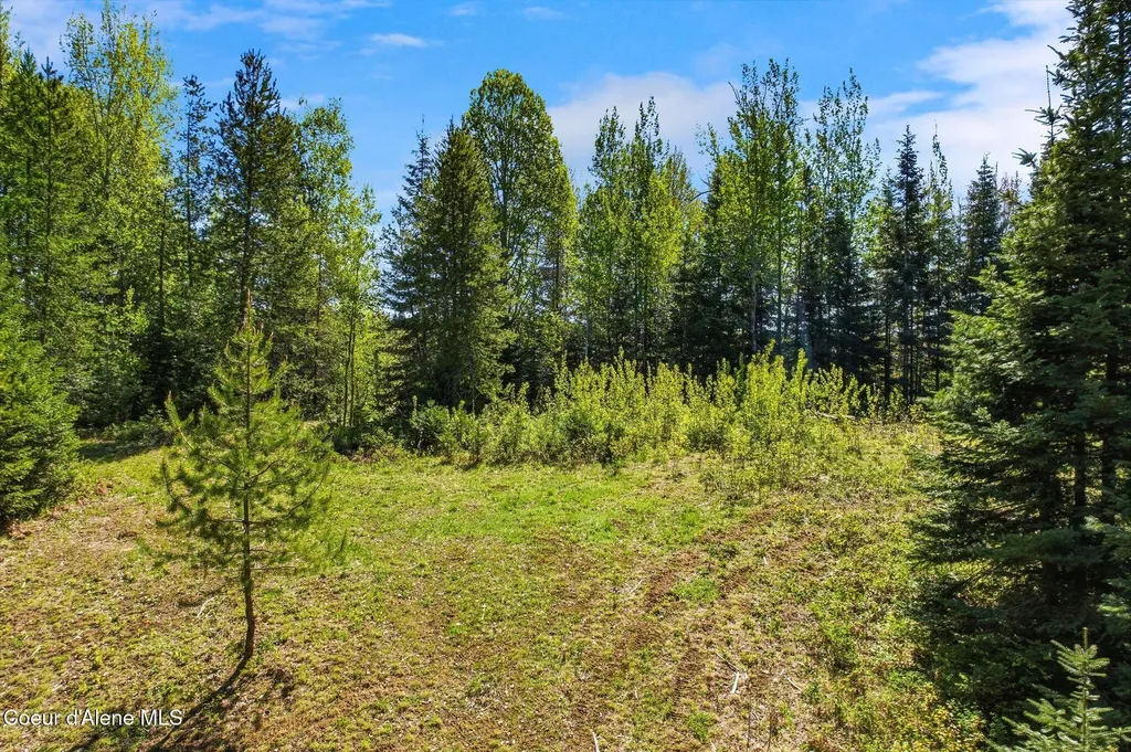 White Tail Farm Lane Lot 2 Sandpoint ID 83864