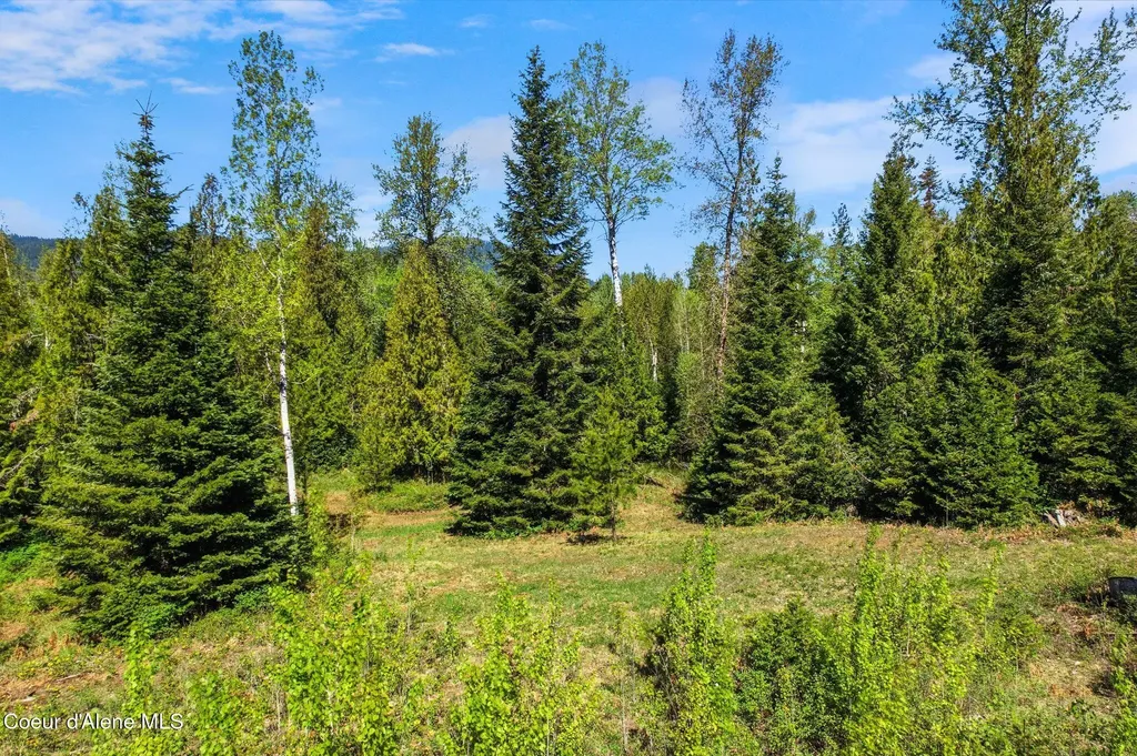 White Tail Farm Lane Lot 2 Sandpoint ID 83864