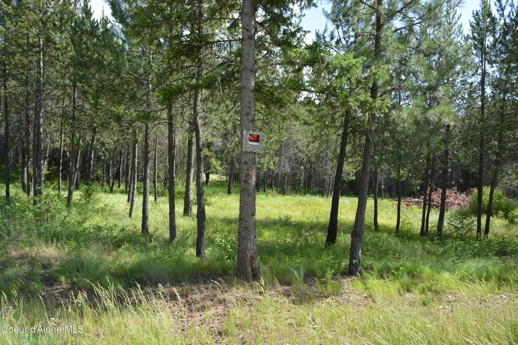 Nka N Sylvan Road Athol ID 83801