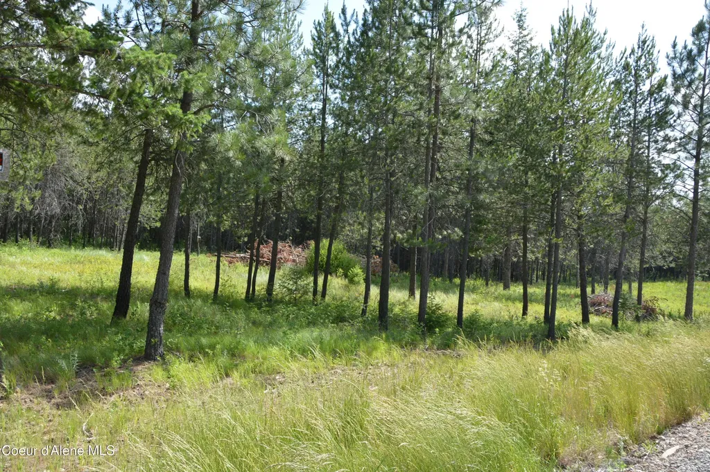 Nka N Sylvan Road Athol ID 83801
