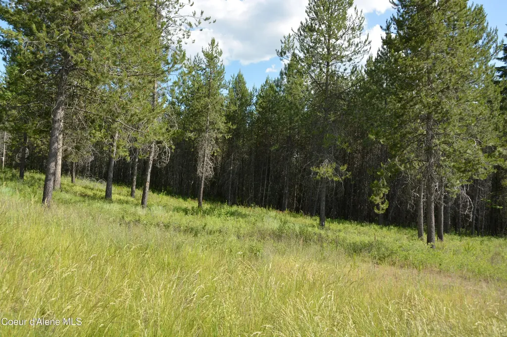 Nka N Sylvan Road Athol ID 83801
