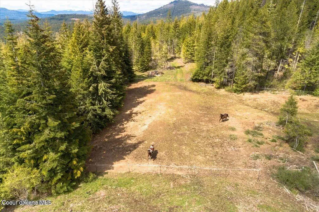 348 Spyglass Hill Road Careywood ID 83809