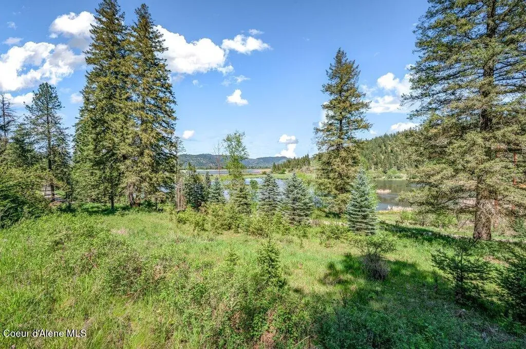 20441 S Robinson Creek Road Cataldo ID 83810