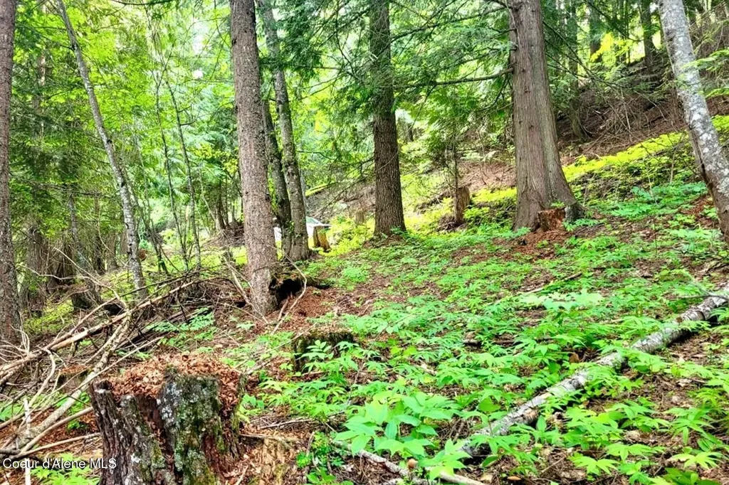 Nna Lower Pack River Road Sandpoint ID 83864