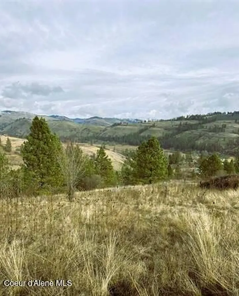 Tbd Canyon Drive Kooskia ID 83539