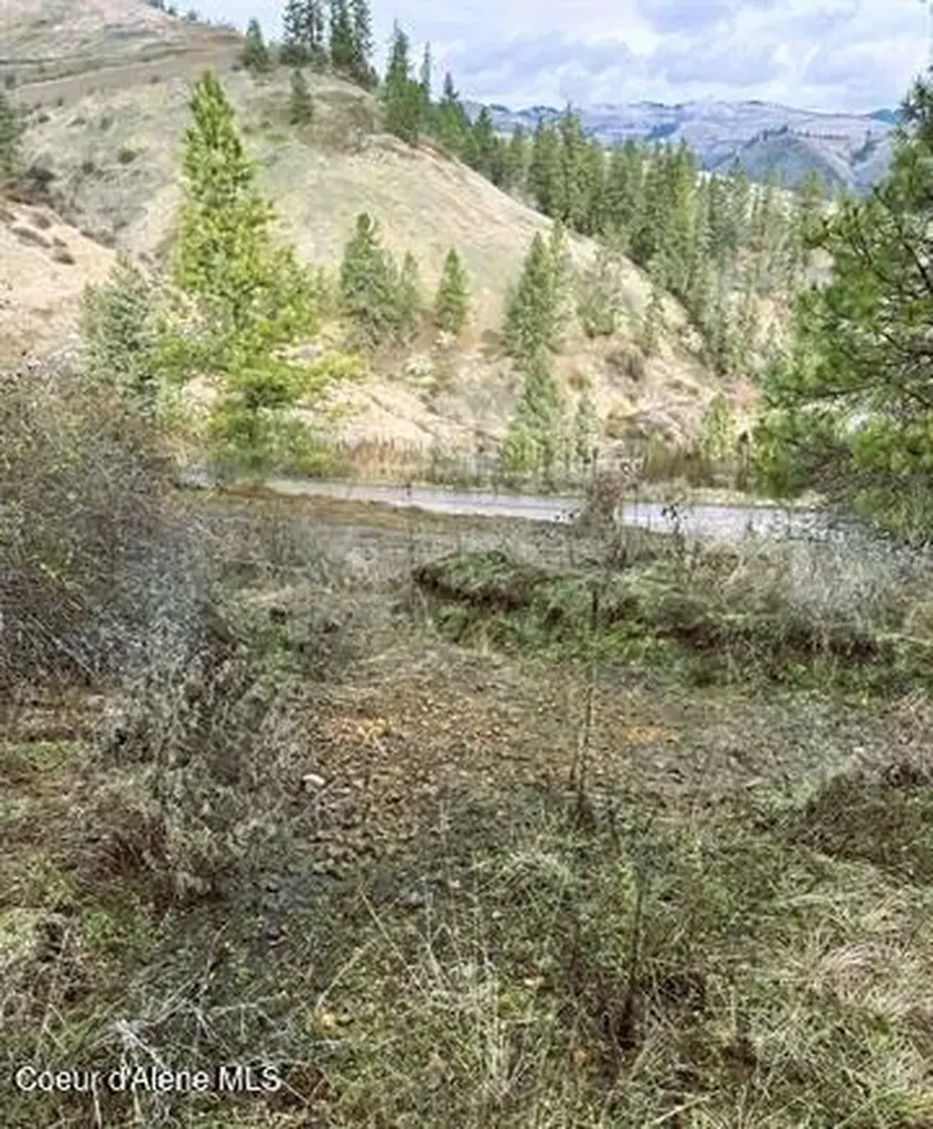 Tbd Canyon Drive Kooskia ID 83539