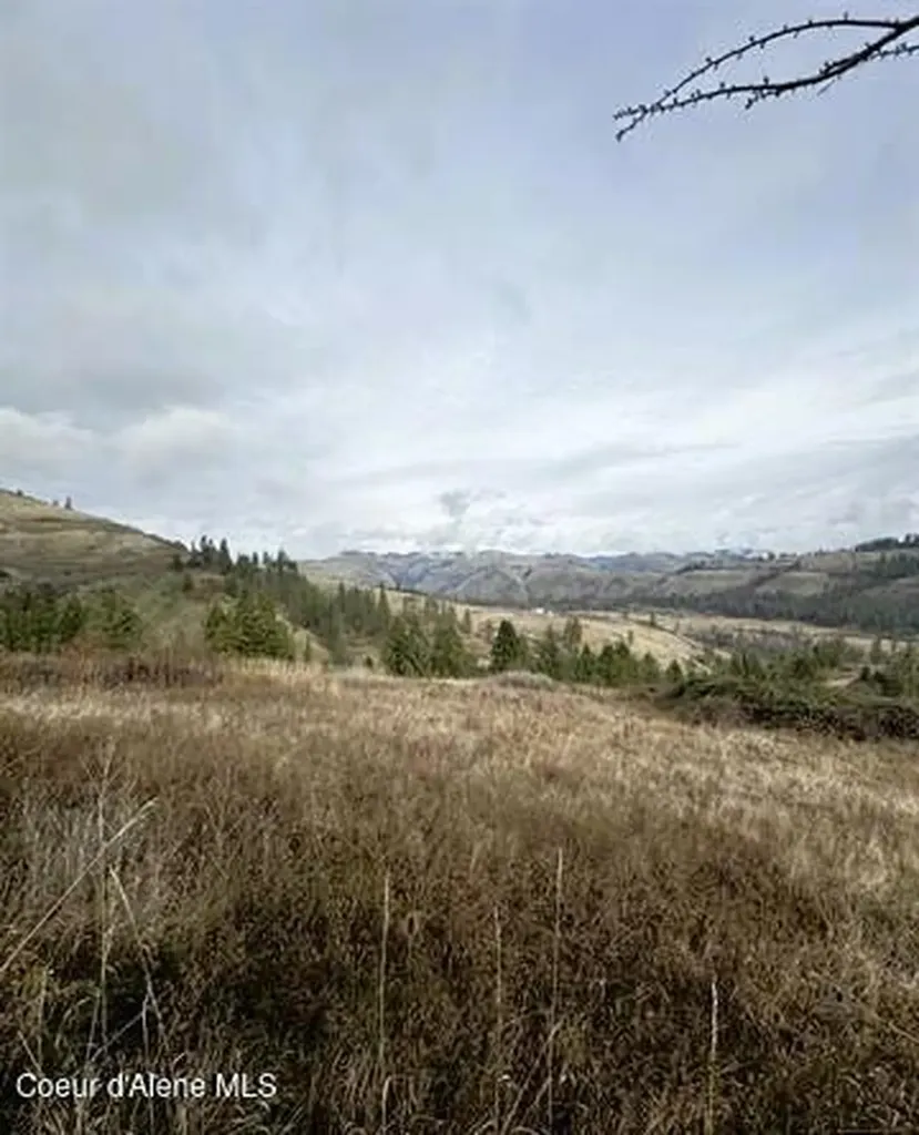 Tbd Canyon Drive Kooskia ID 83539