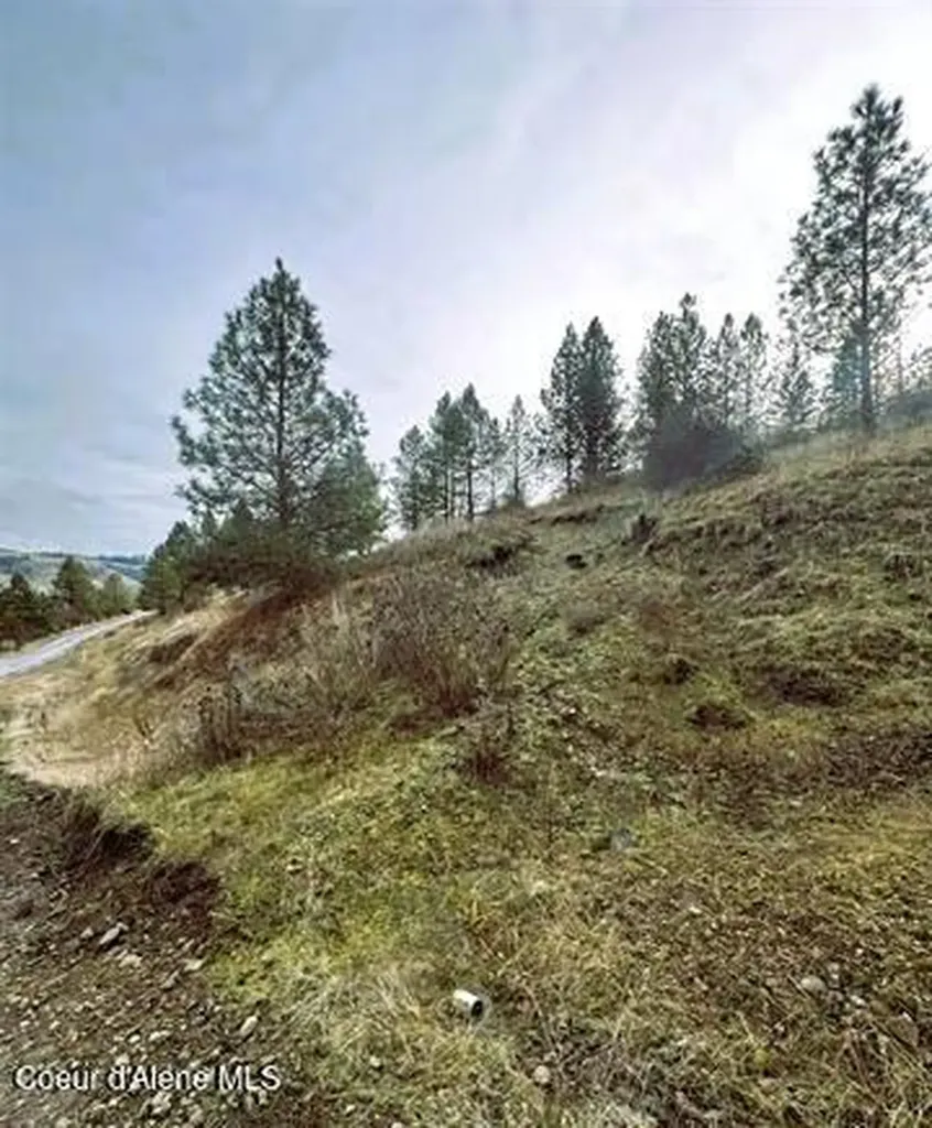 Tbd Canyon Drive Kooskia ID 83539