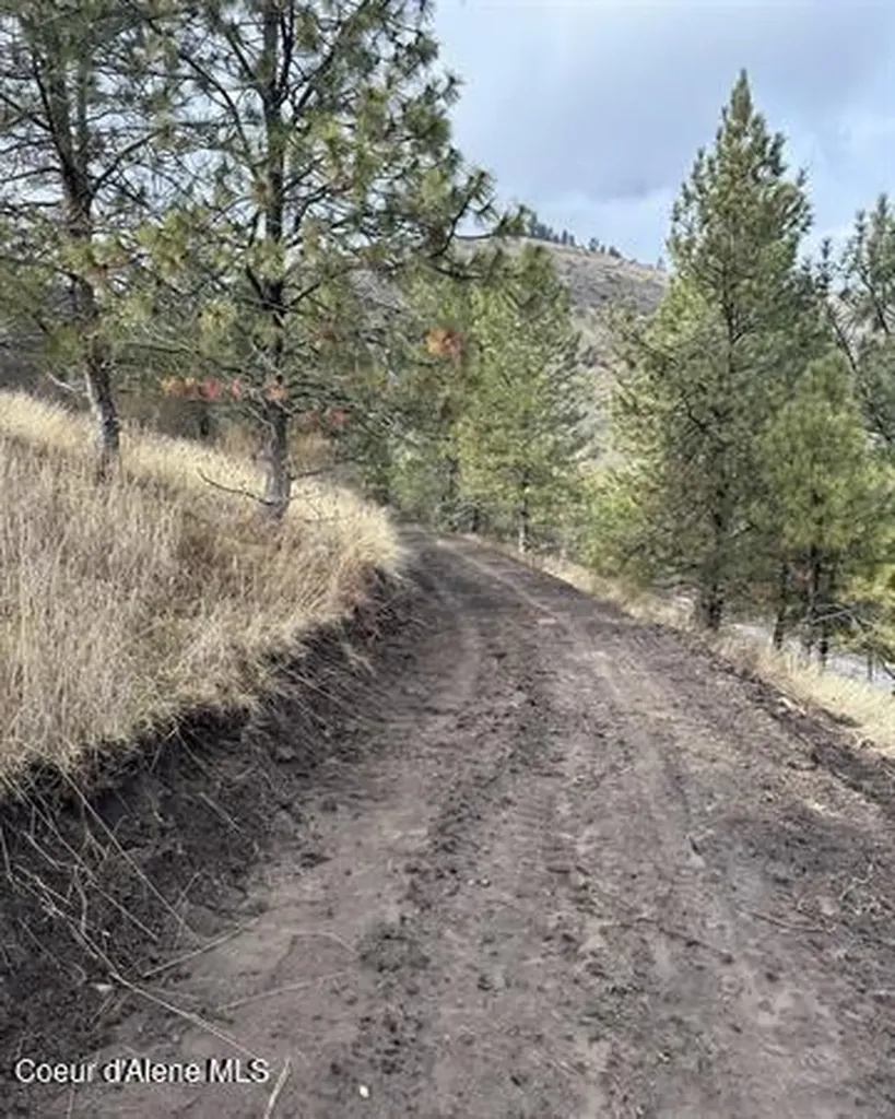 Tbd Canyon Drive Kooskia ID 83539