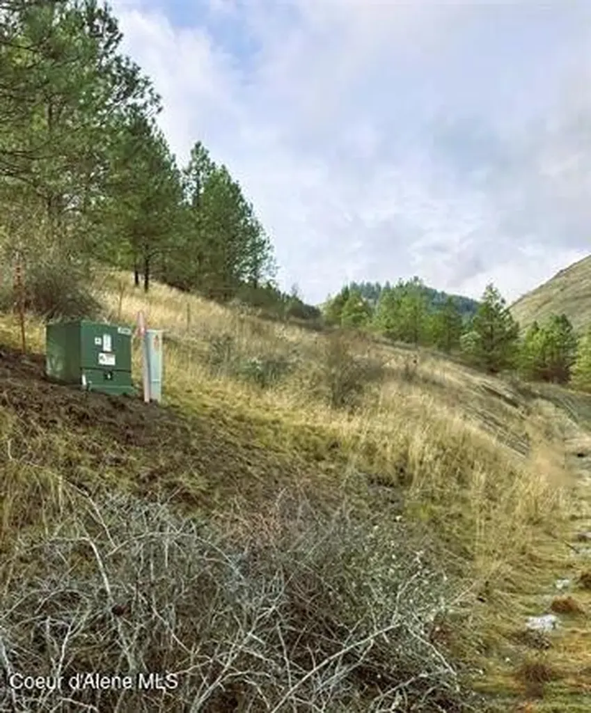 Tbd Canyon Drive Kooskia ID 83539