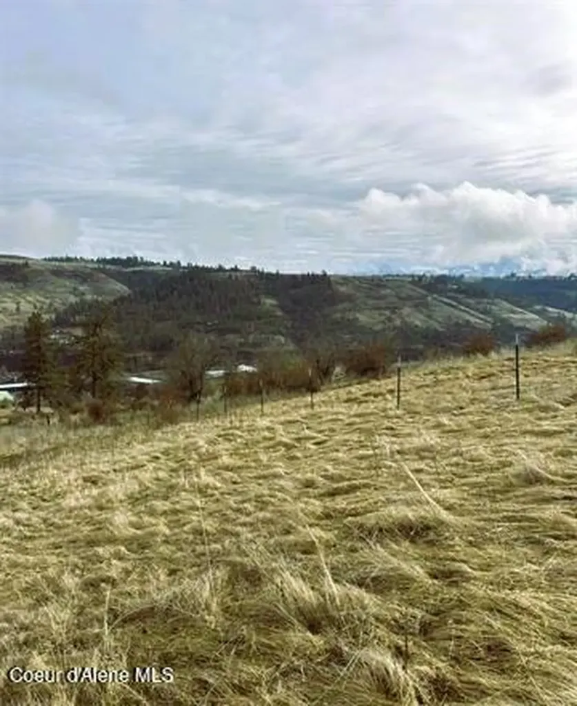 Tbd Canyon Drive Kooskia ID 83539