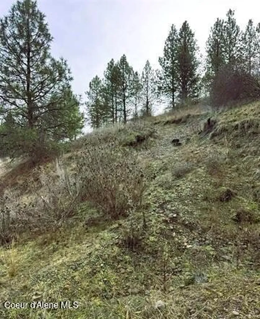 Tbd Canyon Drive Kooskia ID 83539