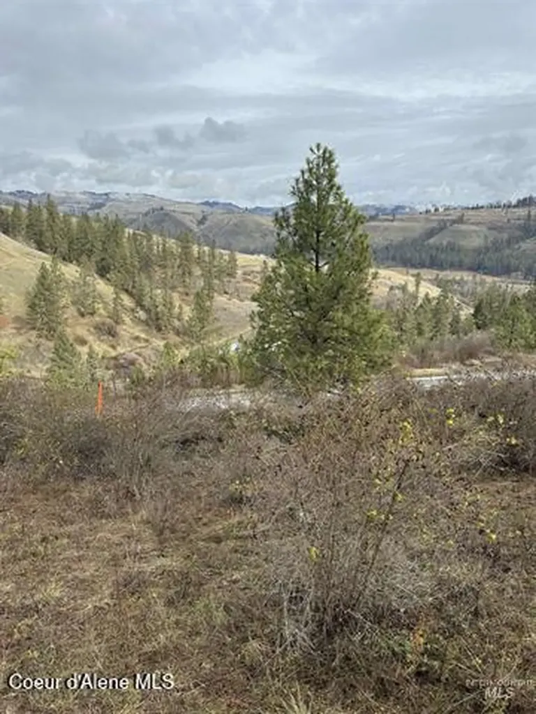 Tbd Canyon Drive Kooskia ID 83539
