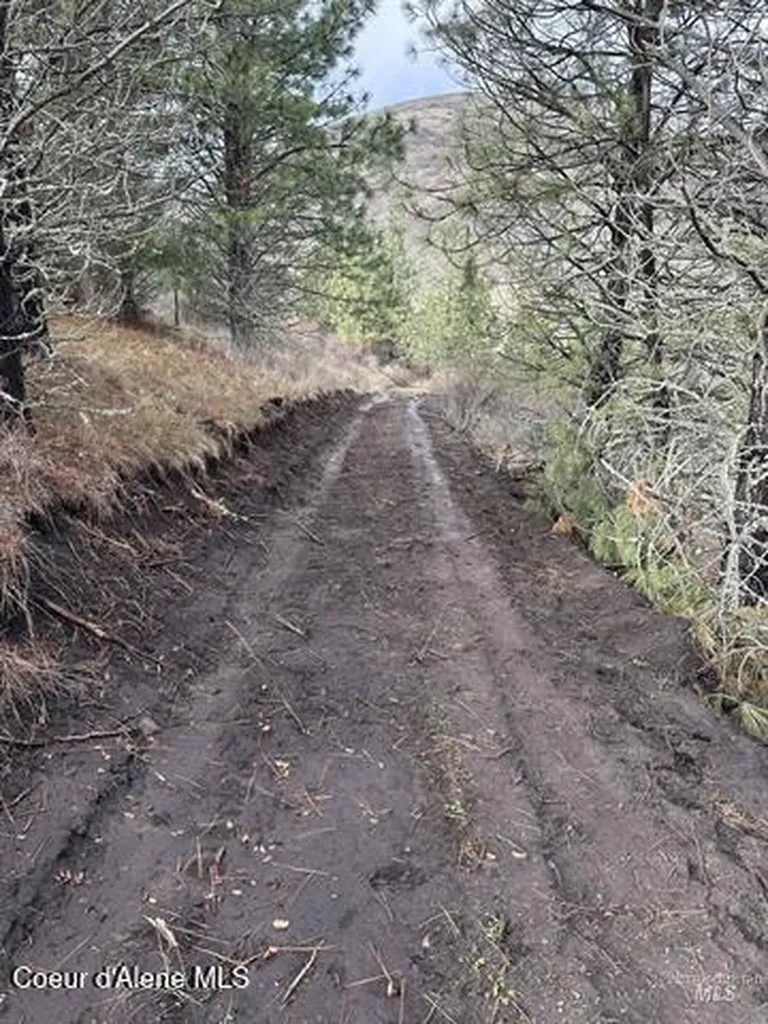 Tbd Canyon Drive Kooskia ID 83539