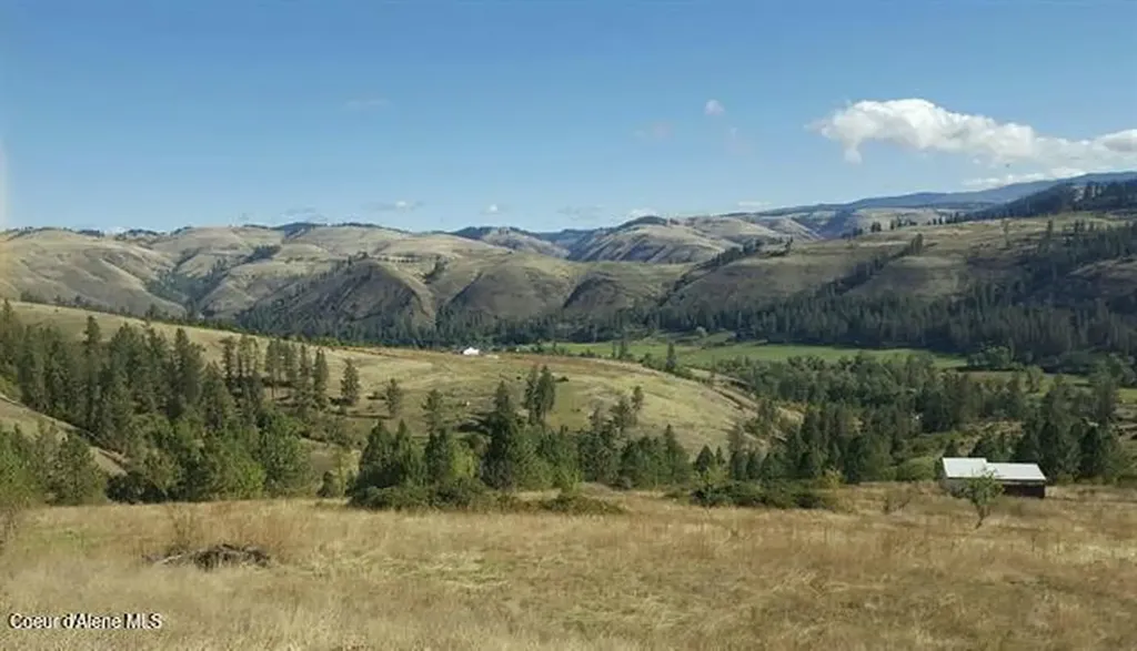 Tbd Canyon Drive Kooskia ID 83539