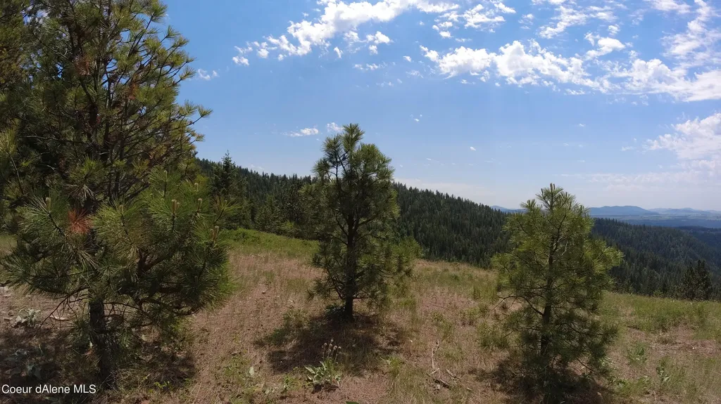 Nna Alamo Road Harrison ID 83833