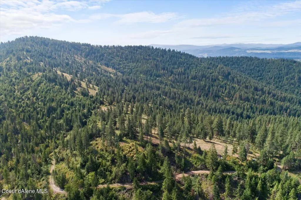 Nna Alamo Road Harrison ID 83833