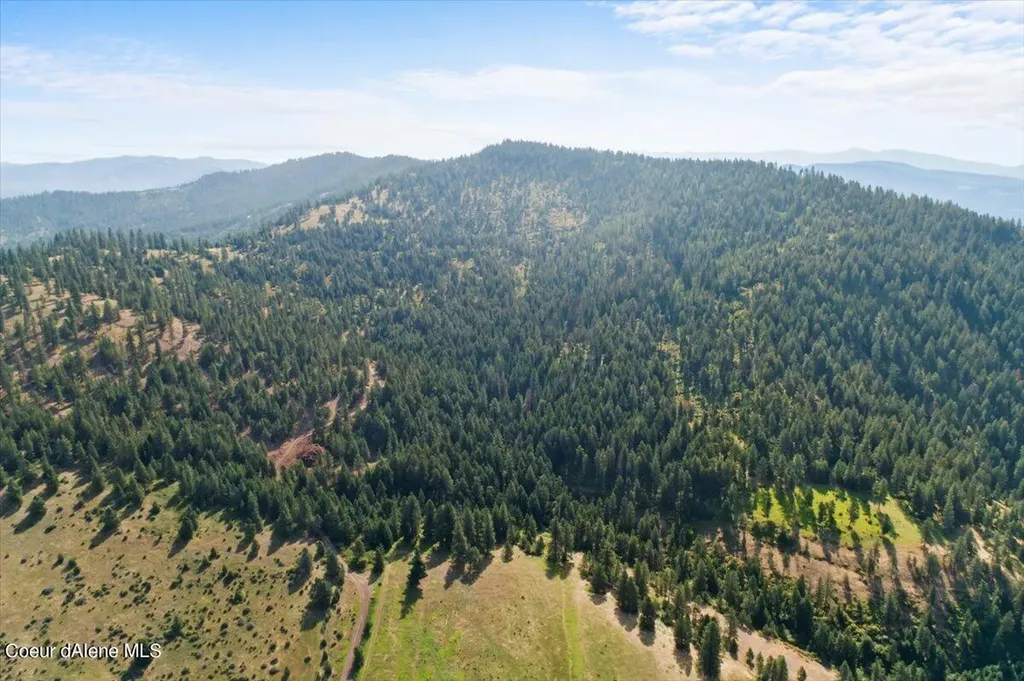 Nna Alamo Road Harrison ID 83833