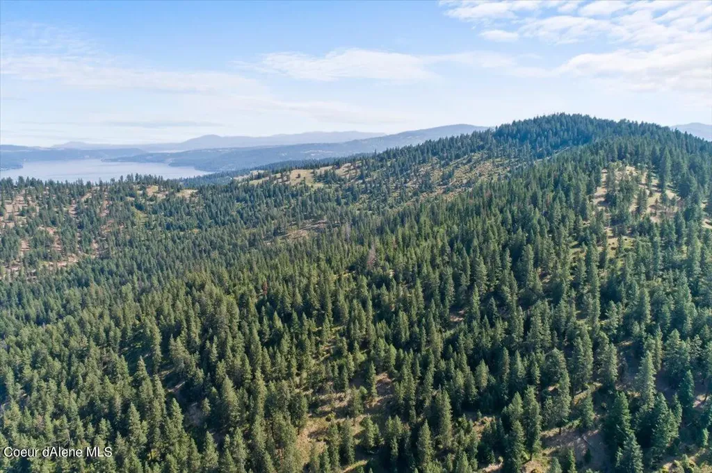 Nna Alamo Road Harrison ID 83833
