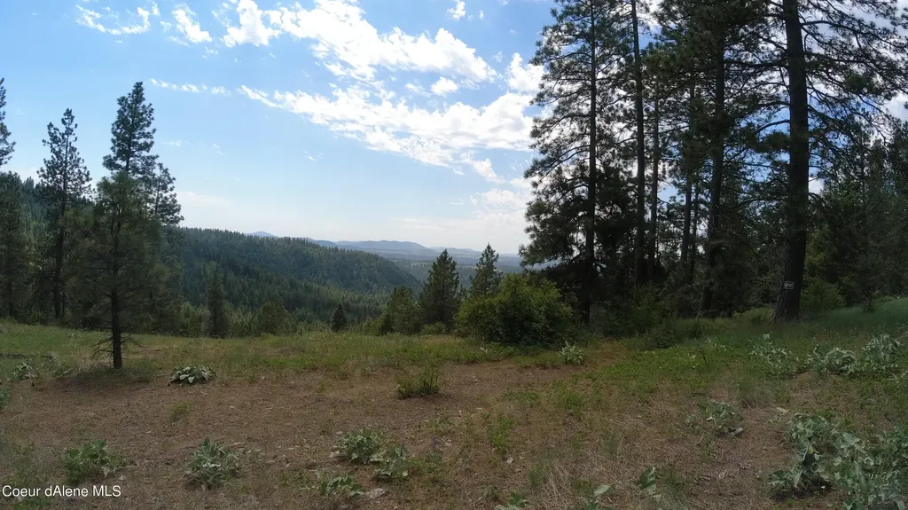 Nna Alamo Road Harrison ID 83833
