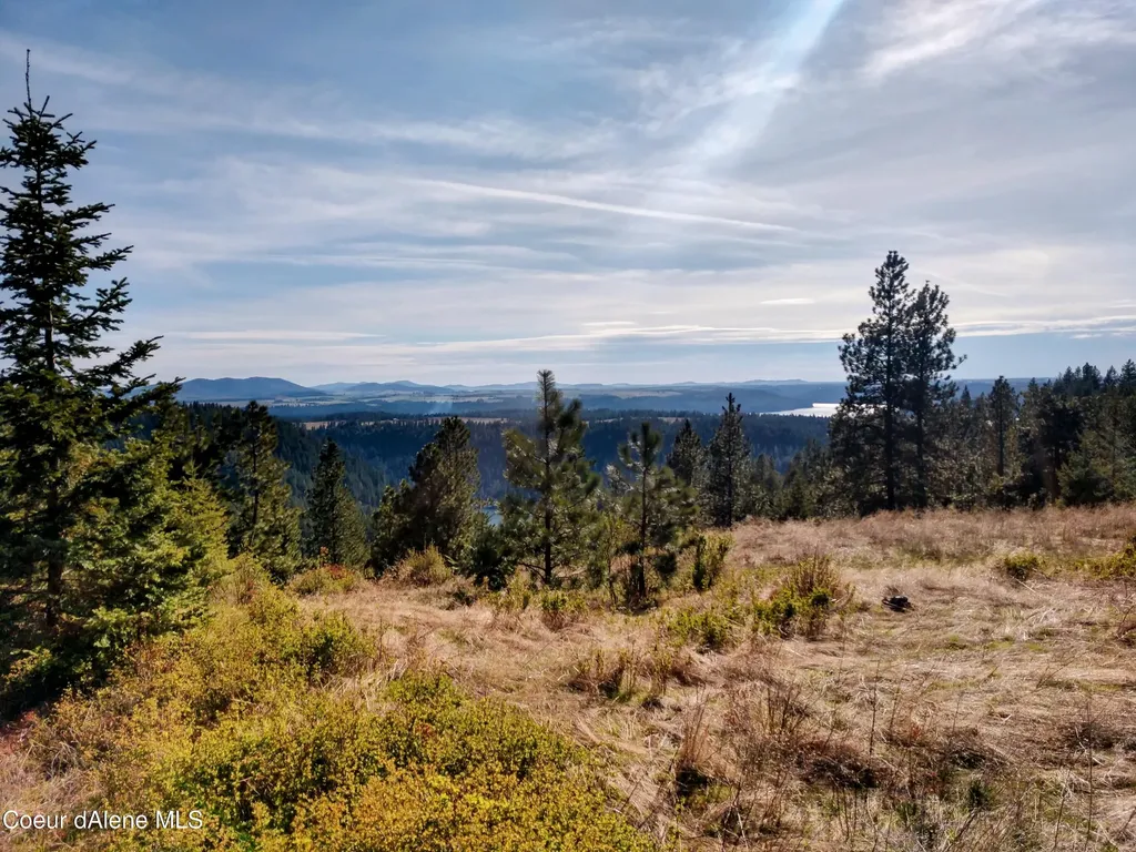 Nna Alamo Road Harrison ID 83833