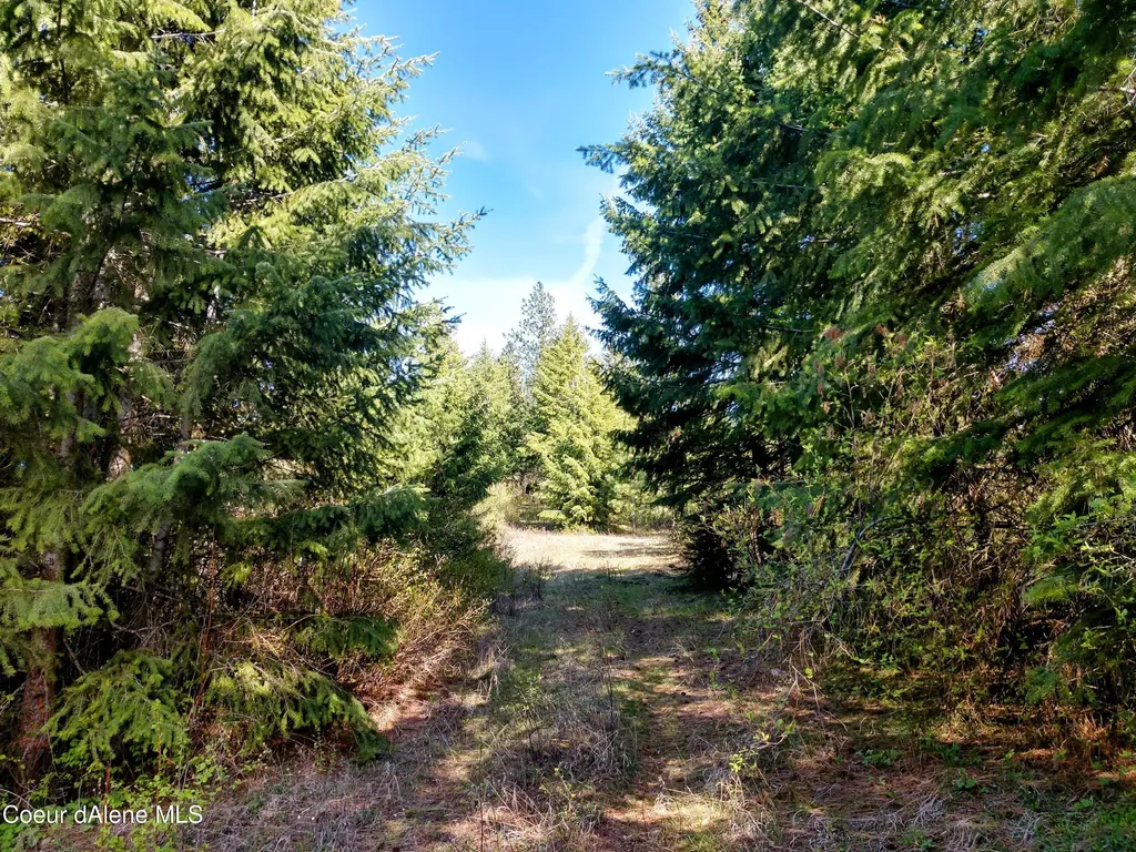 Nna Alamo Road Harrison ID 83833