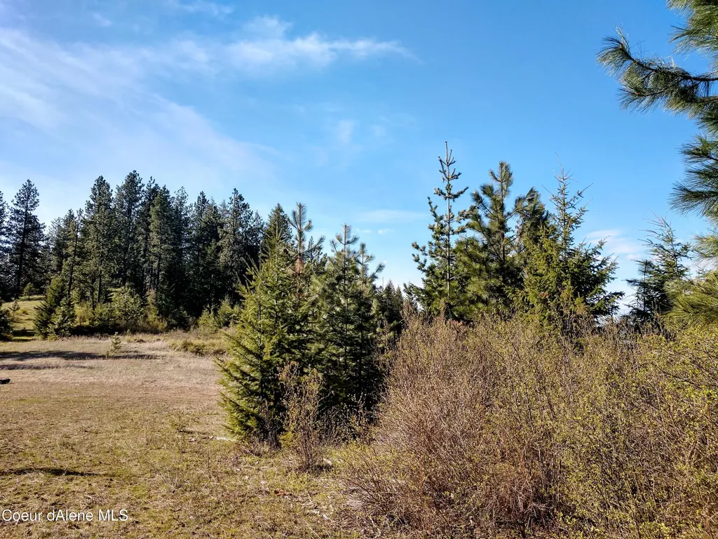 Nna Alamo Road Harrison ID 83833