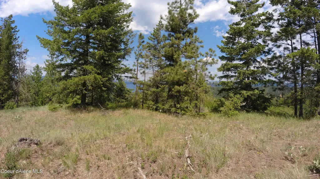 Nna Alamo Road Harrison ID 83833