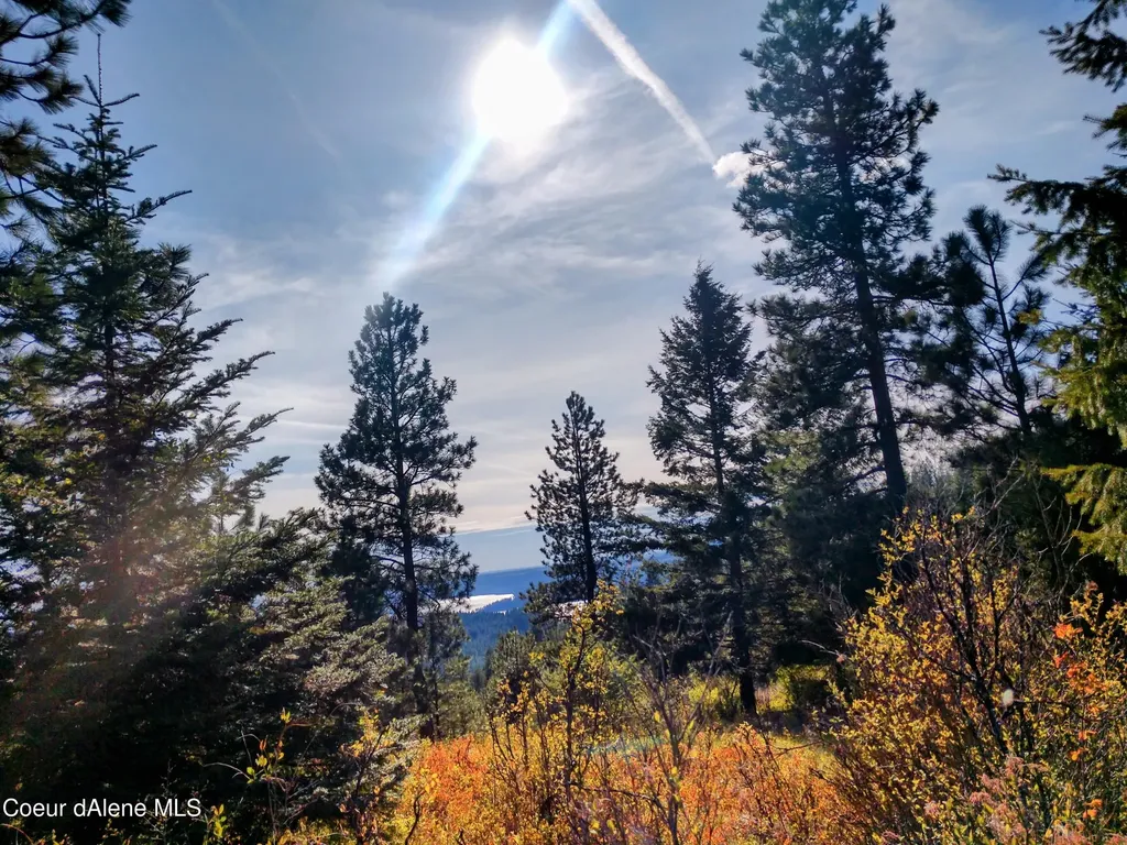Nna Alamo Road Harrison ID 83833