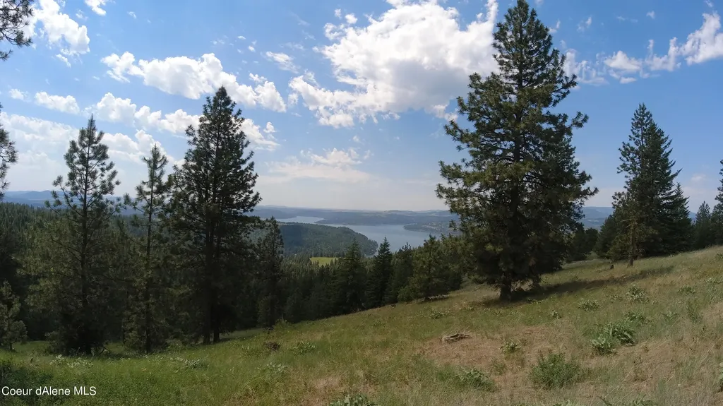 Nna Alamo Road Harrison ID 83833