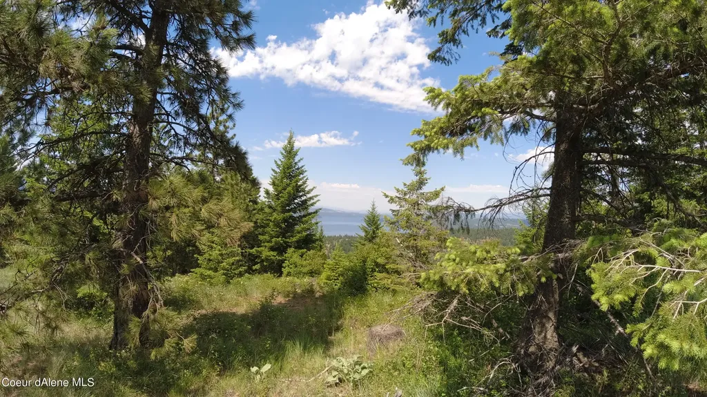 Nna Alamo Road Harrison ID 83833