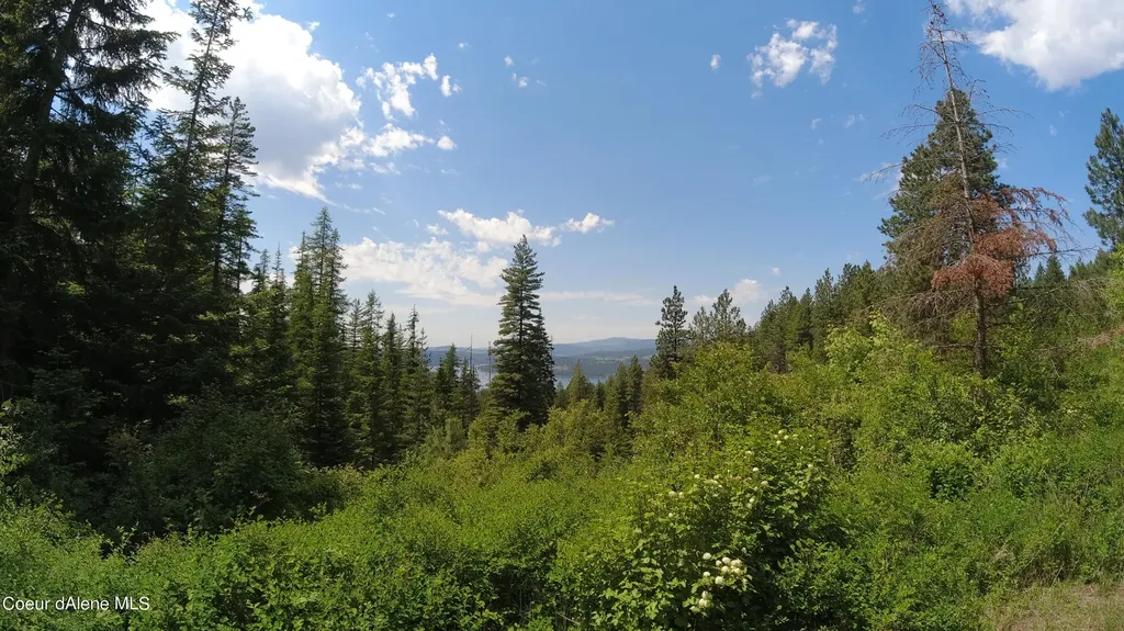 Nna Alamo Road Harrison ID 83833