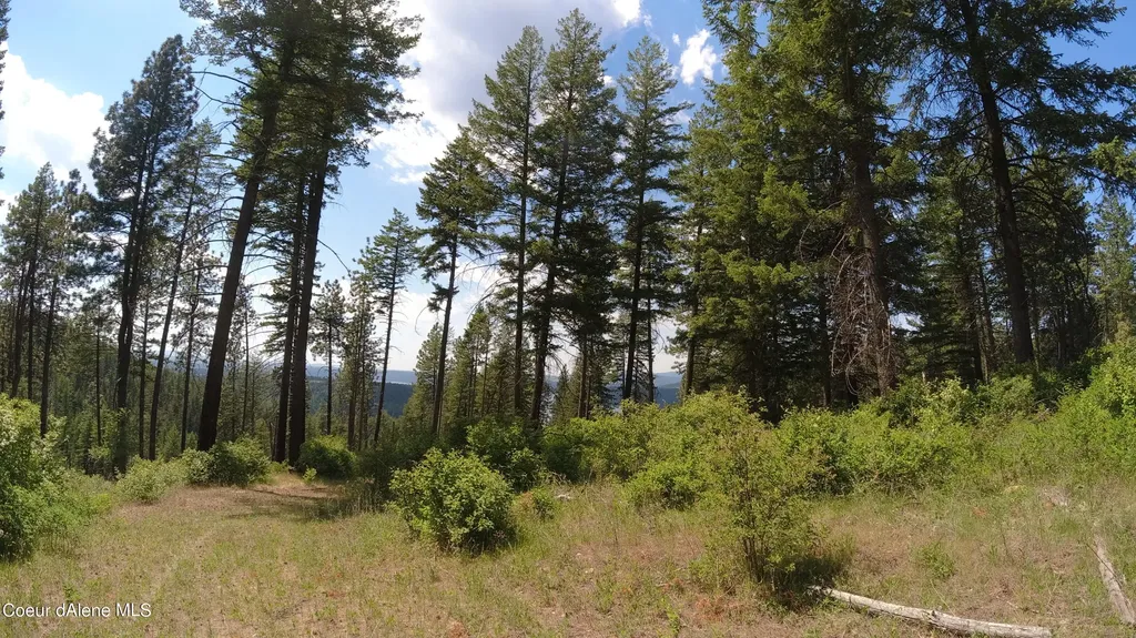 Nna Alamo Road Harrison ID 83833