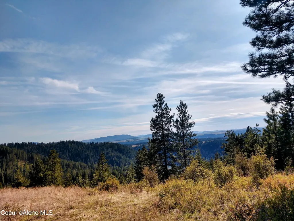 Nna Alamo Road Harrison ID 83833