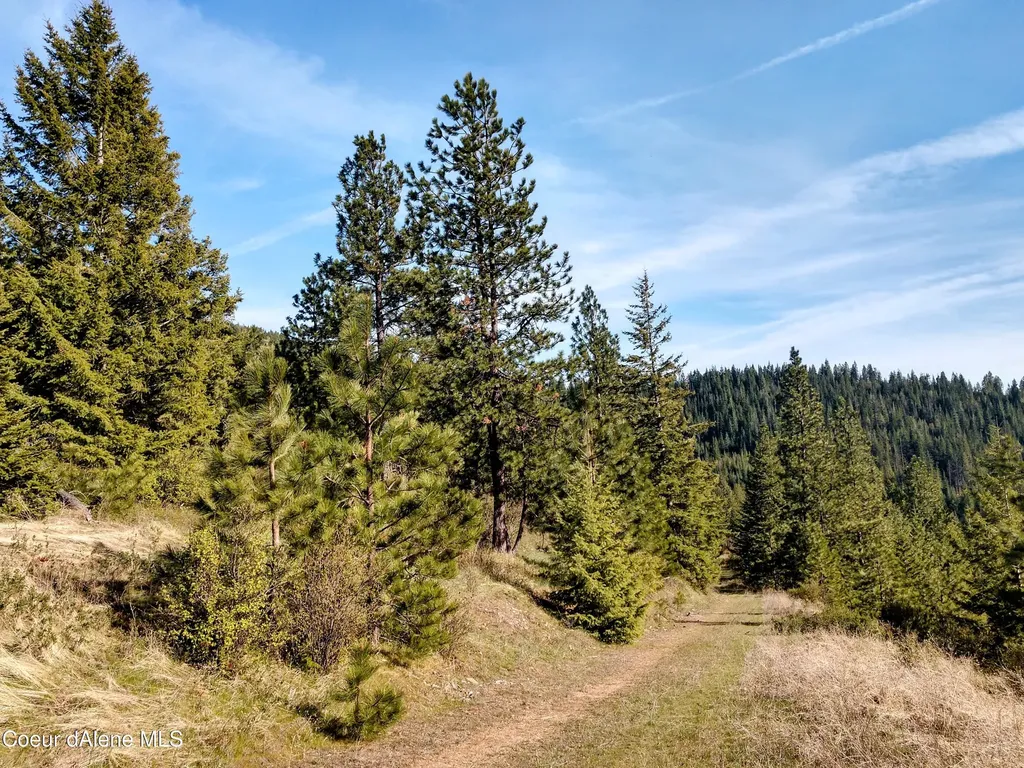 Nna Alamo Road Harrison ID 83833