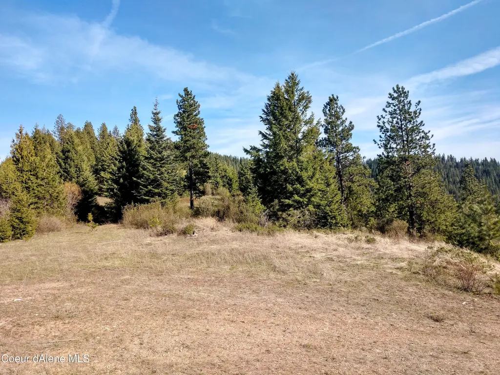 Nna Alamo Road Harrison ID 83833