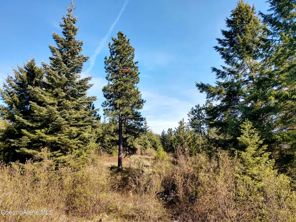 Nna Alamo Road Harrison ID 83833