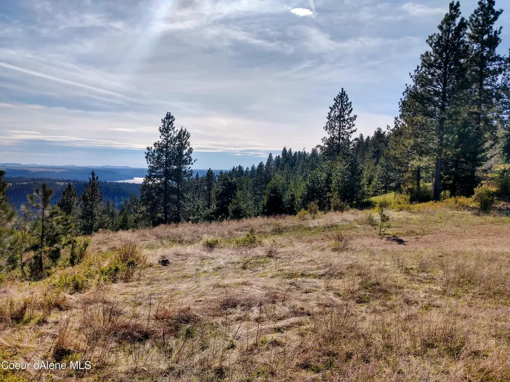 Nna Alamo Road Harrison ID 83833