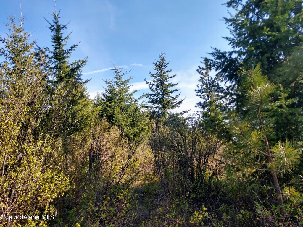 Nna Alamo Road Harrison ID 83833