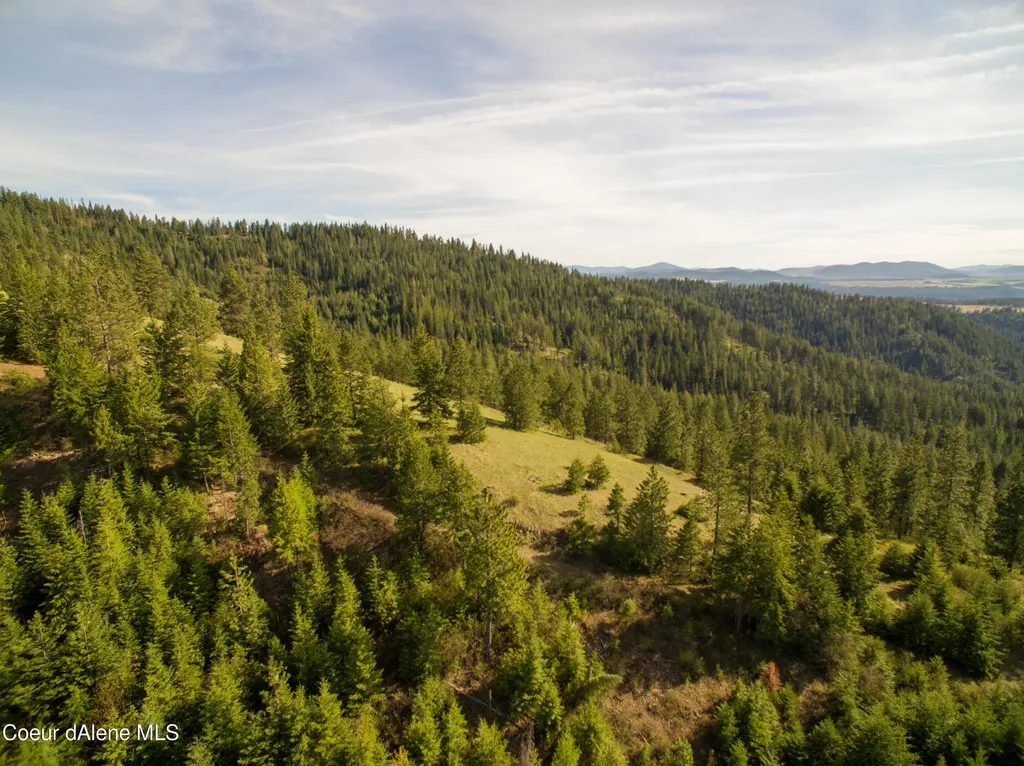 Nna Alamo Road Harrison ID 83833