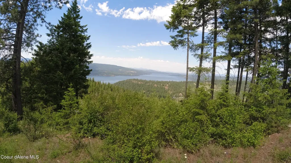 Nna Alamo Road Harrison ID 83833