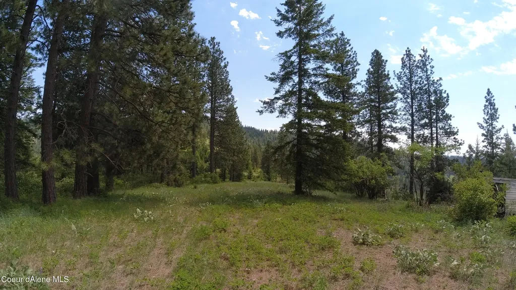 Nna Alamo Road Harrison ID 83833