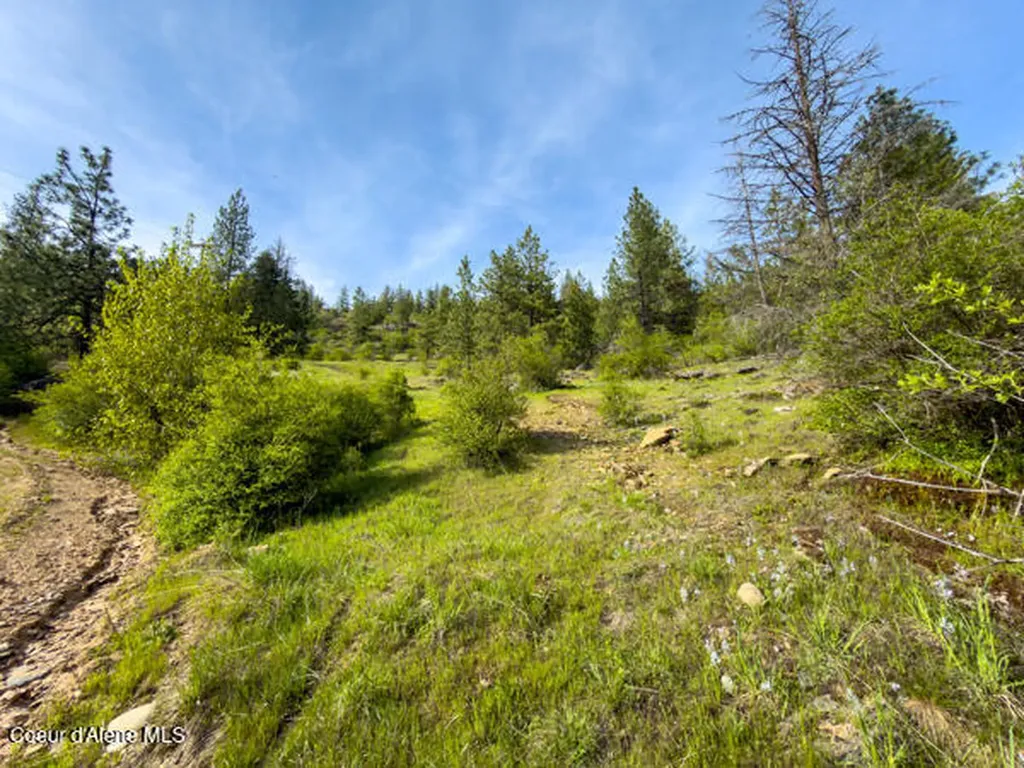 Nna Dunromin Road Priest River ID 83856