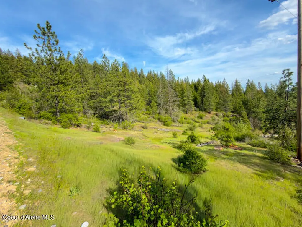 Nna Dunromin Road Priest River ID 83856