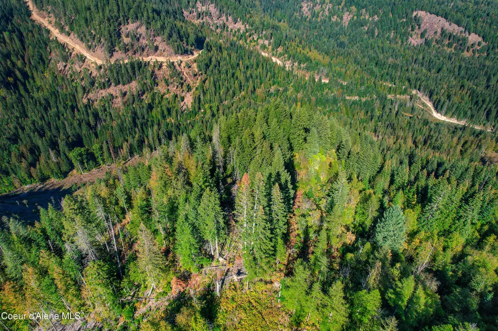 Nna Bodie Canyon Road Priest River ID 83856
